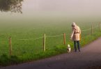The Impacts of Morning Walking on Overall Well-being